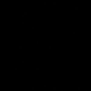 Meet your Posher, Hayley